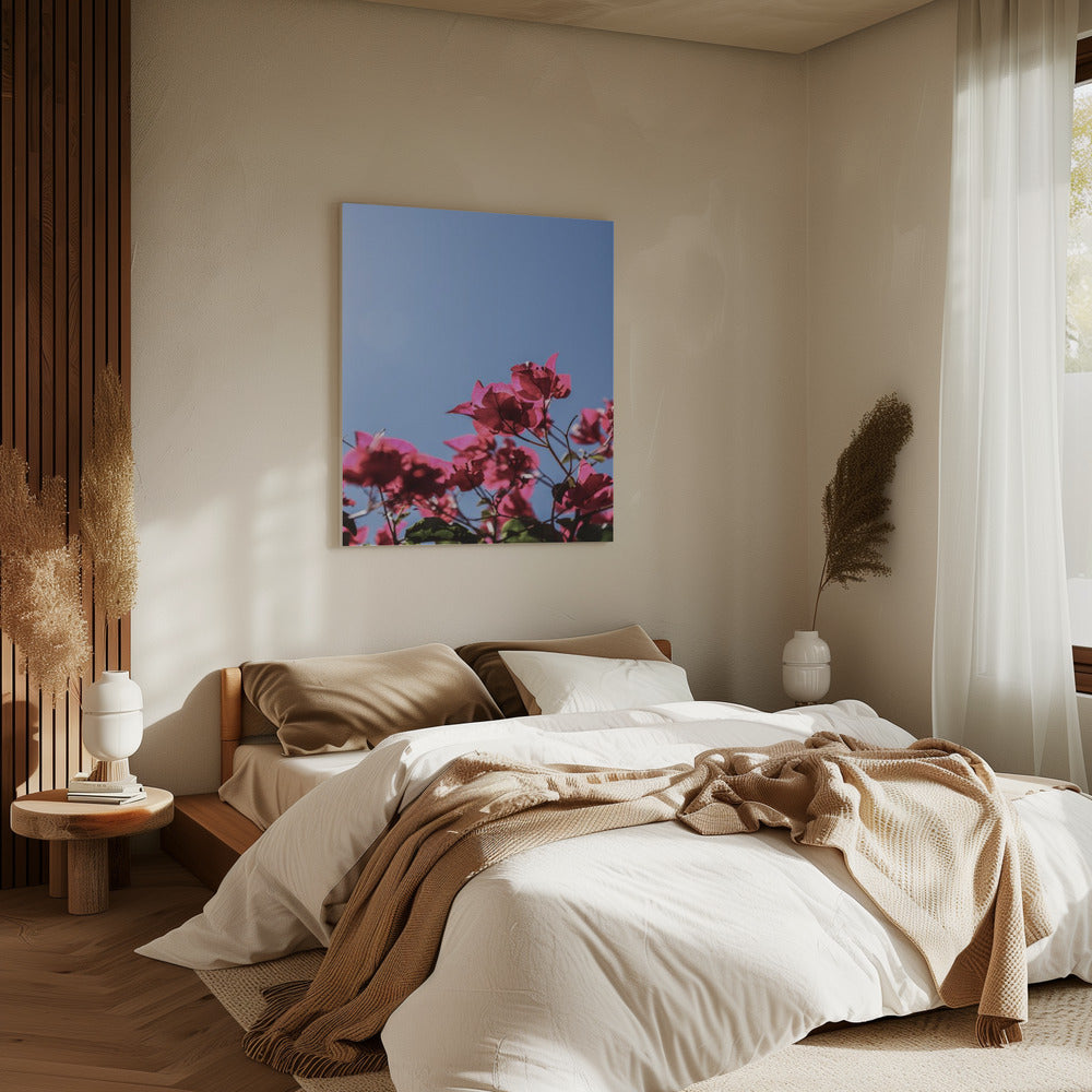Bougainvillea Bliss | Canvas