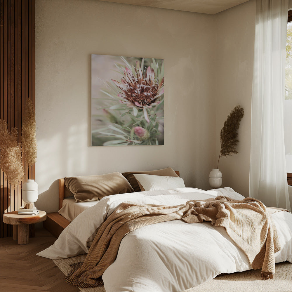 Soft Bloom Elegance | Canvas