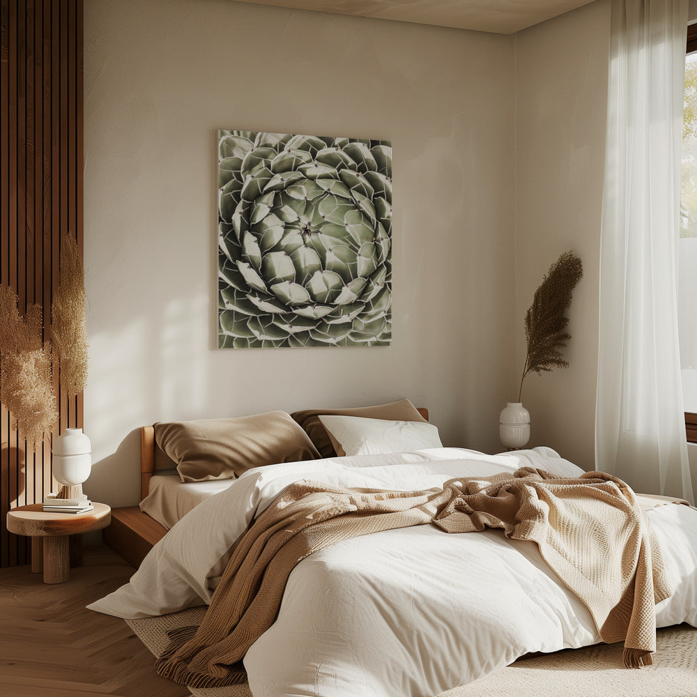 Geometrische Sukkulente | Leinwand