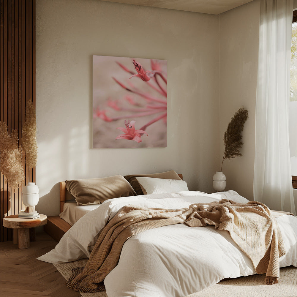Petals in Focus | Canvas