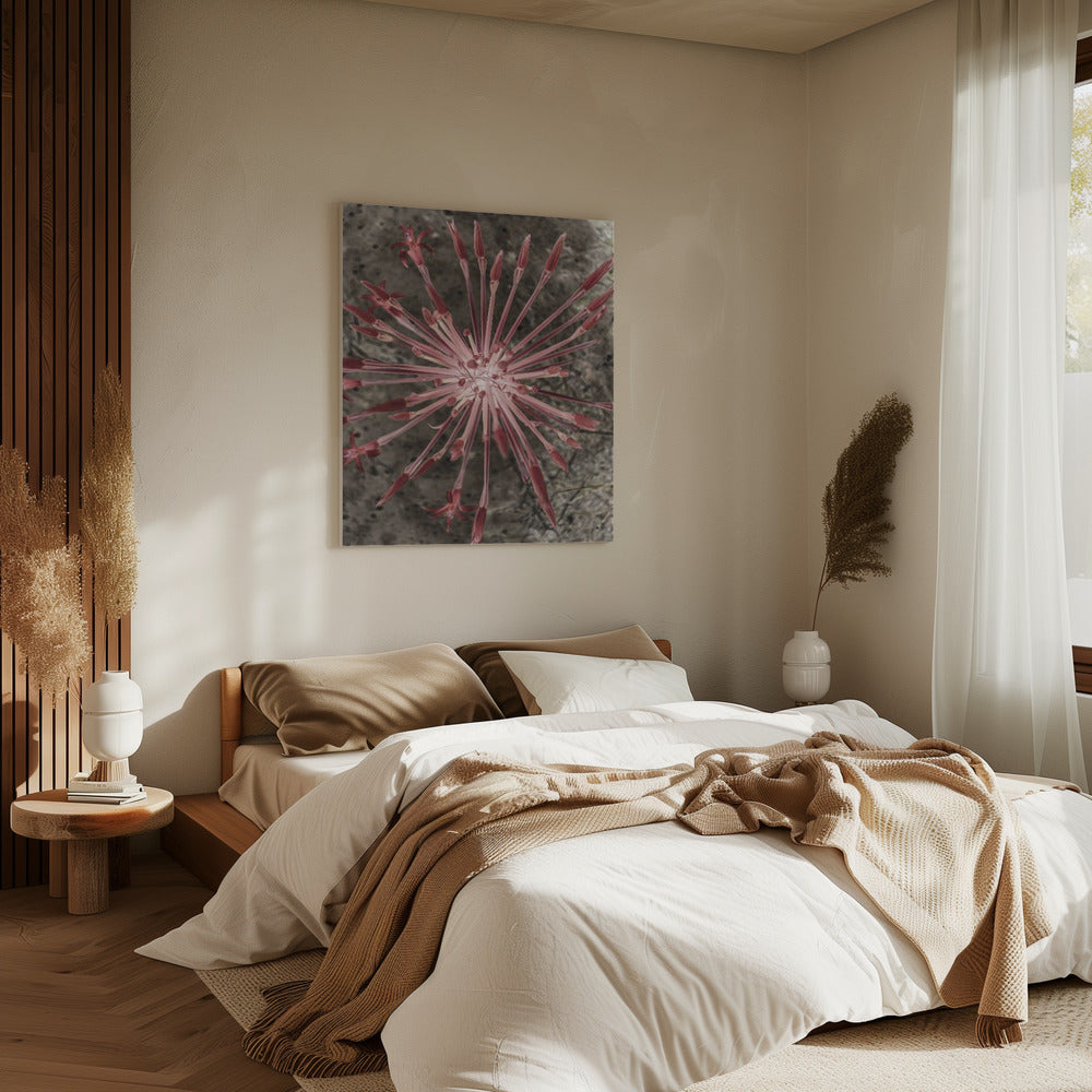 Radiant Blooms | Canvas