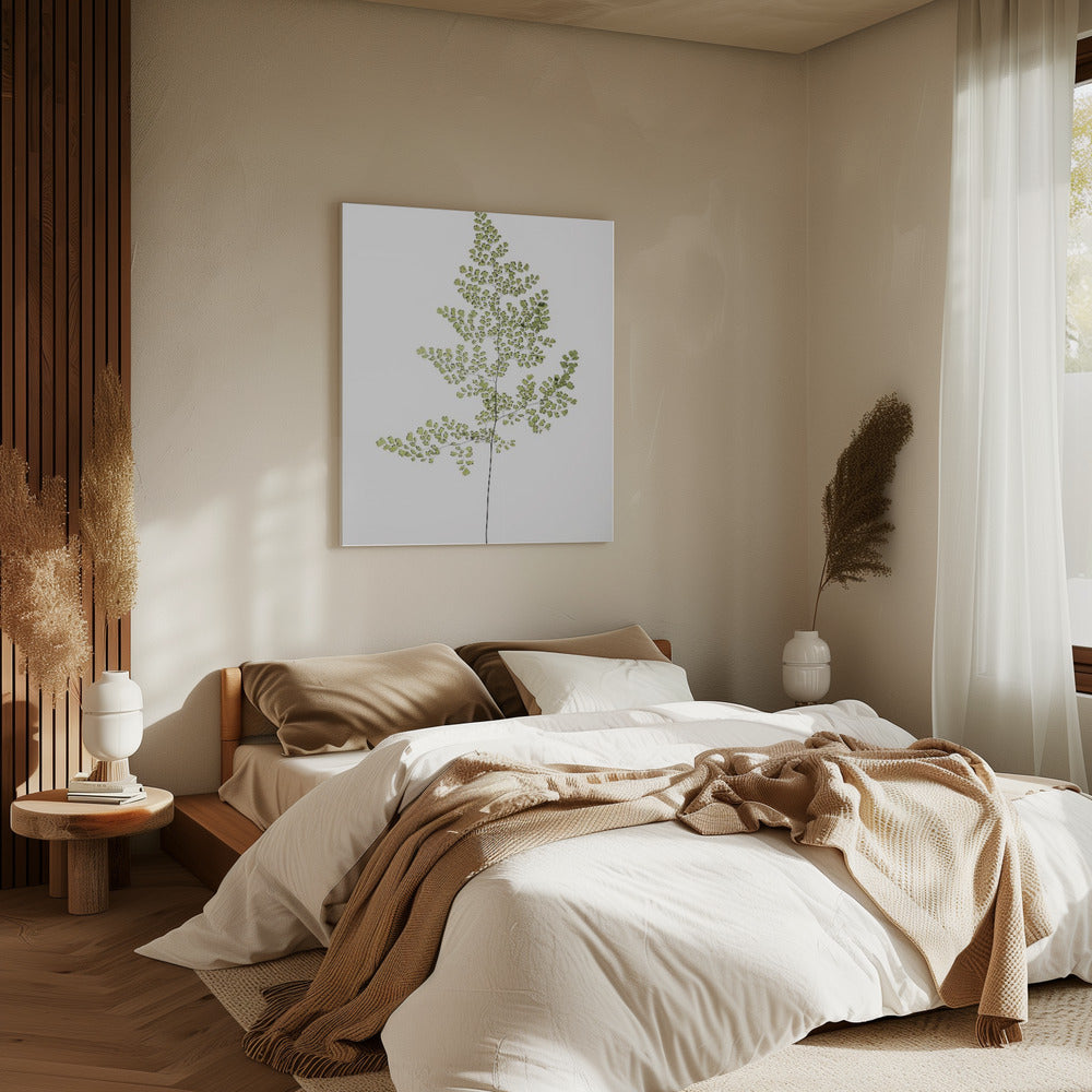 Farn Eleganz | Leinwand