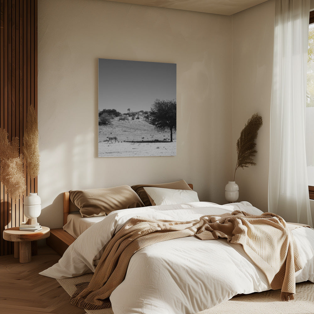 Gepardeneinsamkeit | Leinwand