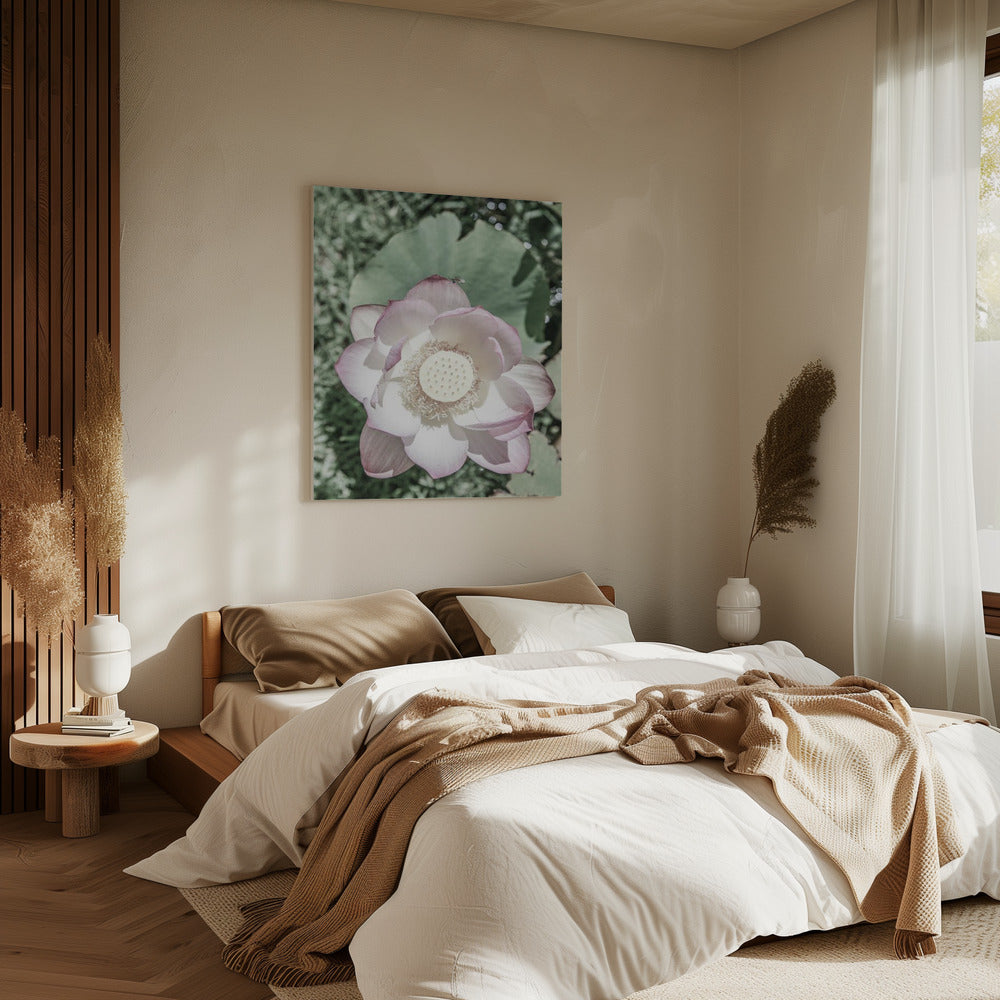 Lotus Serenity | Leinwand