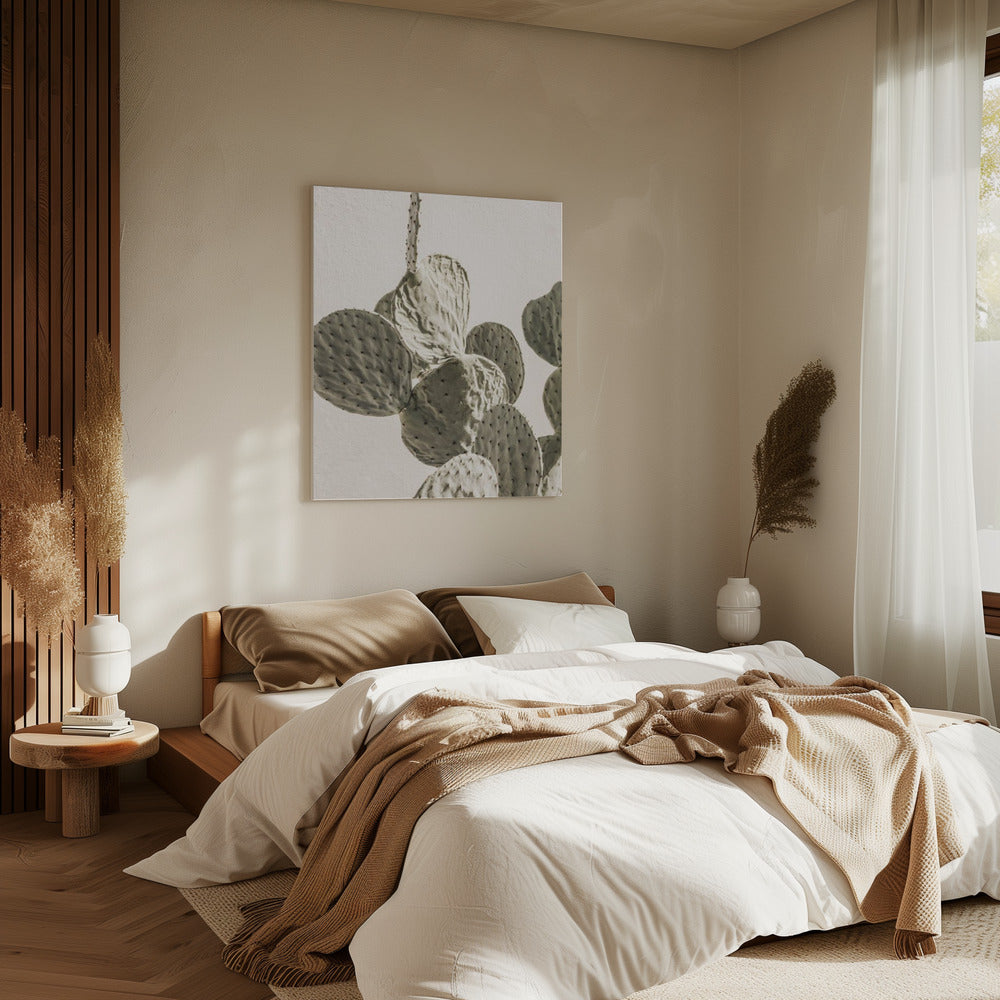Stachelige Eleganz | Leinwand