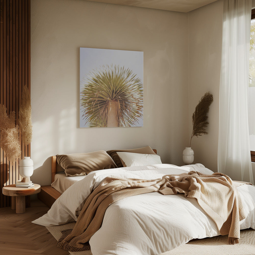 Desert Crown | Canvas
