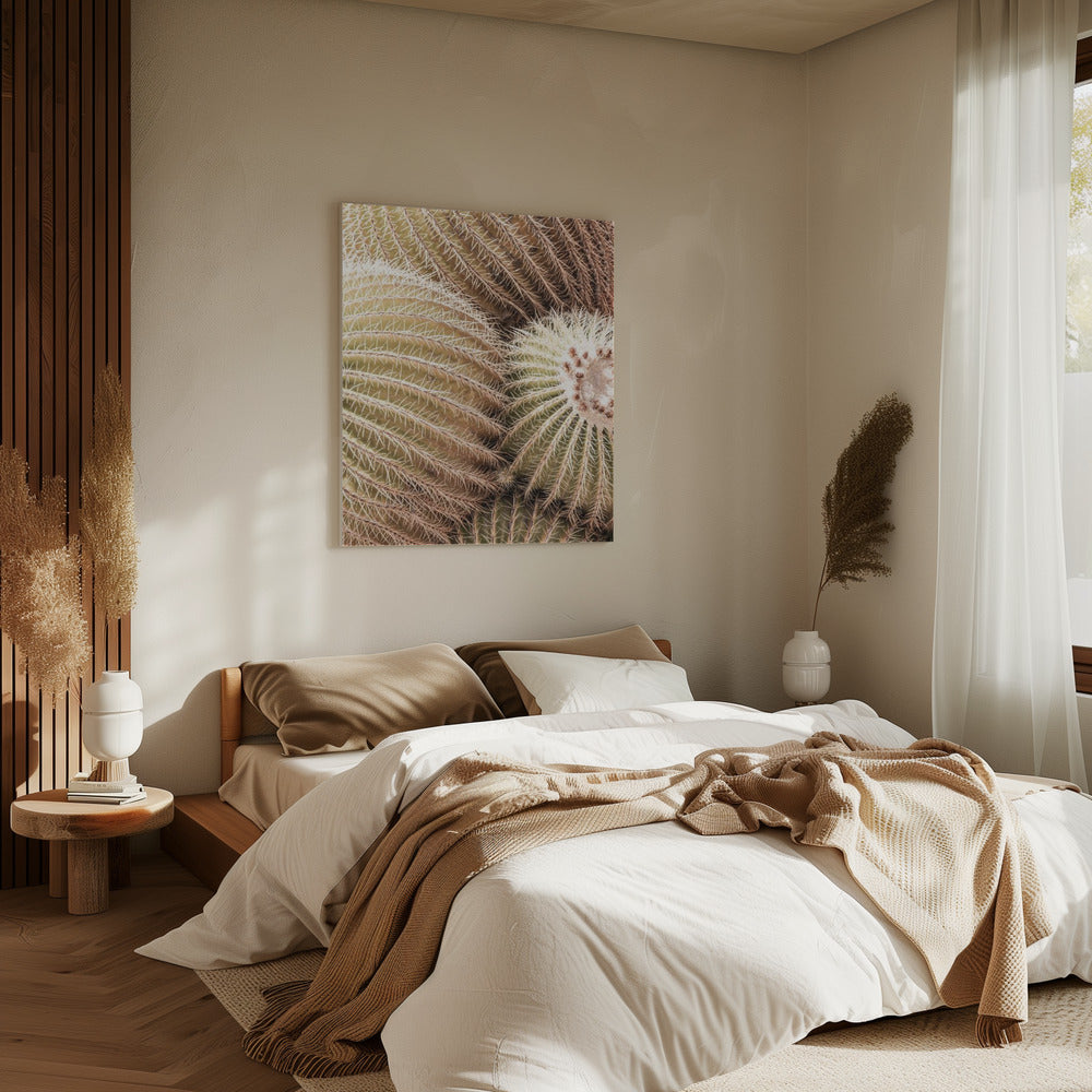 Spirale der Stacheln | Leinwand
