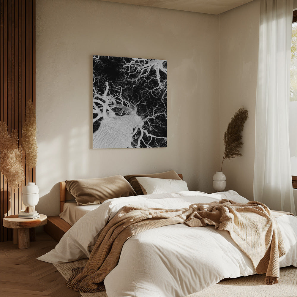 Winter's Veins | Canvas