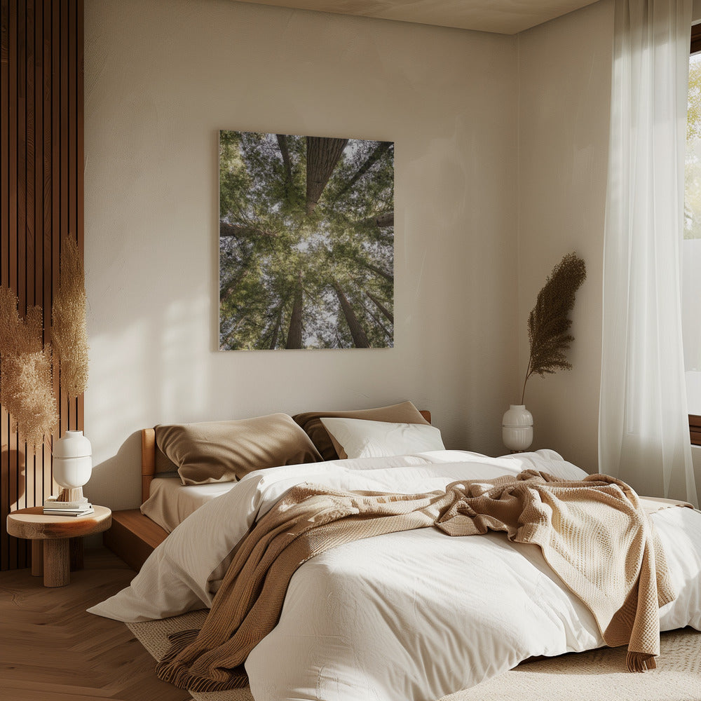 Schönheit der Natur | Leinwand