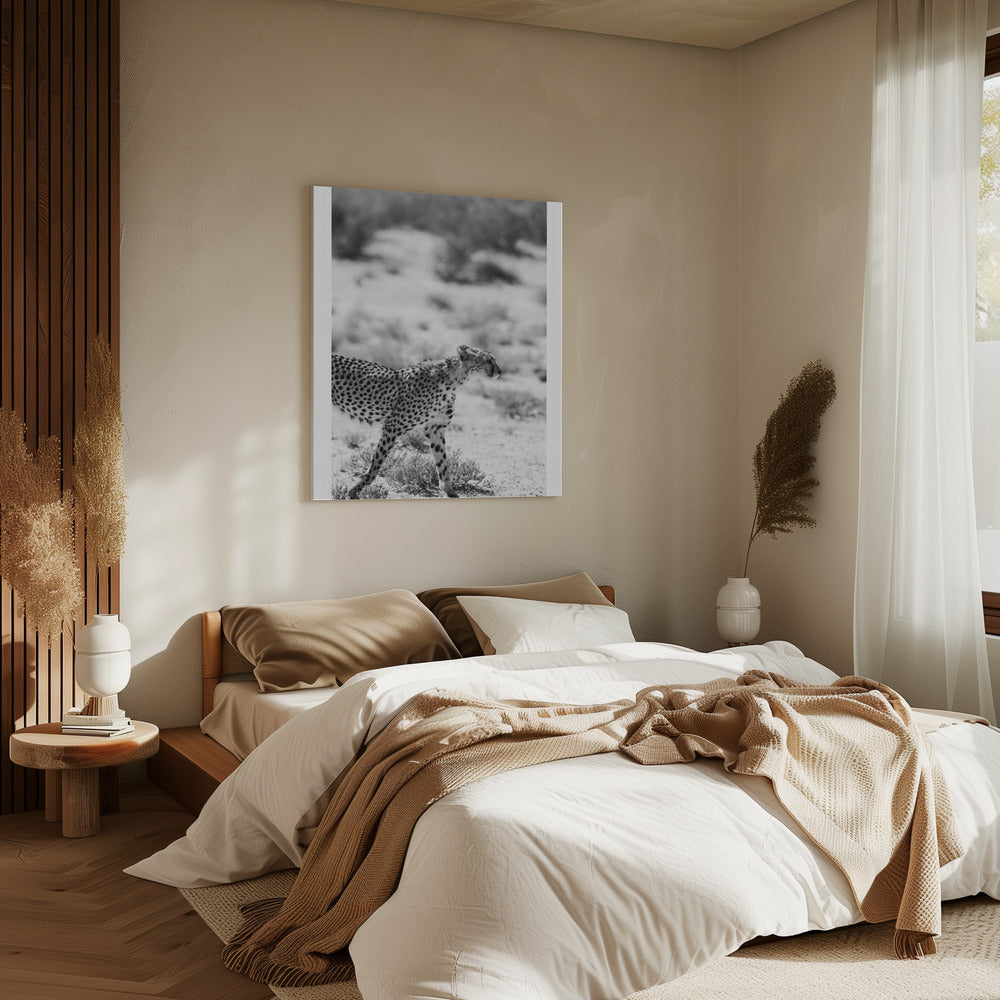 Ein laufender Gepard | Leinwand