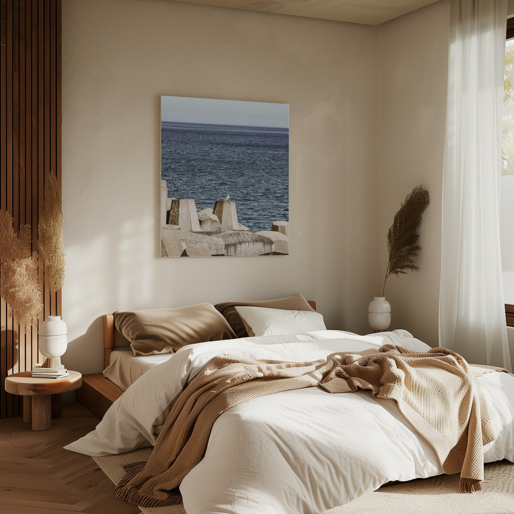 Möwe am Meer | Leinwand