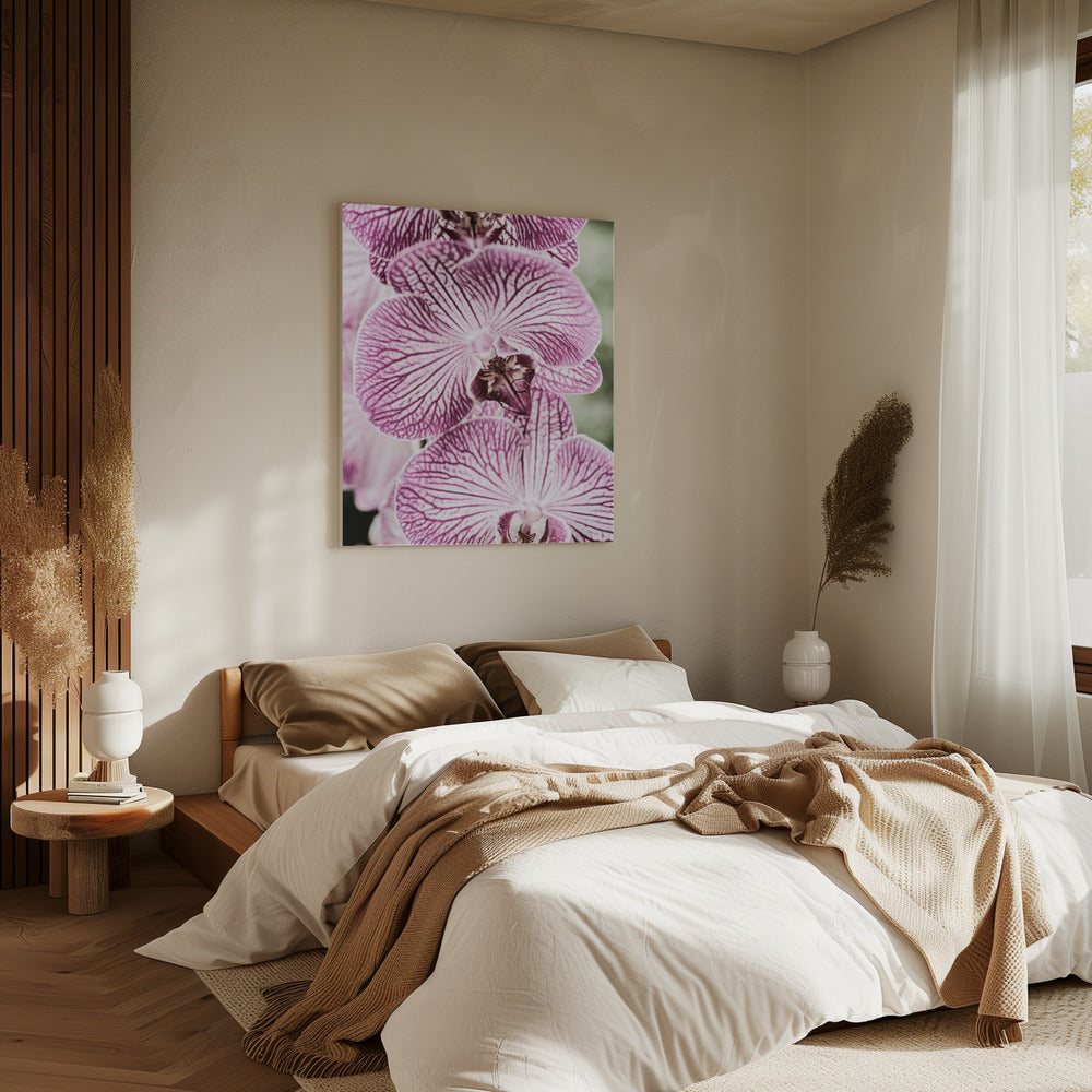 Tigerblüten | Leinwand