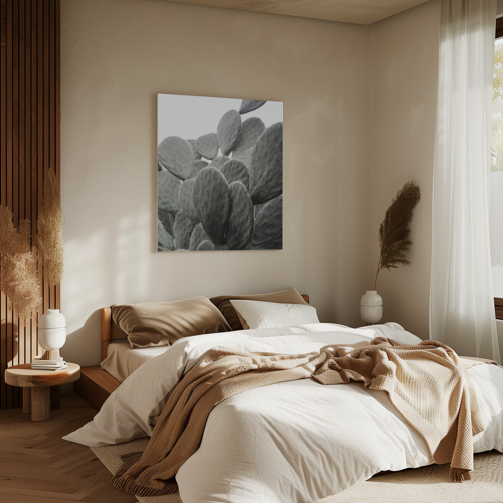 Beauty Of Cactus | Canvas