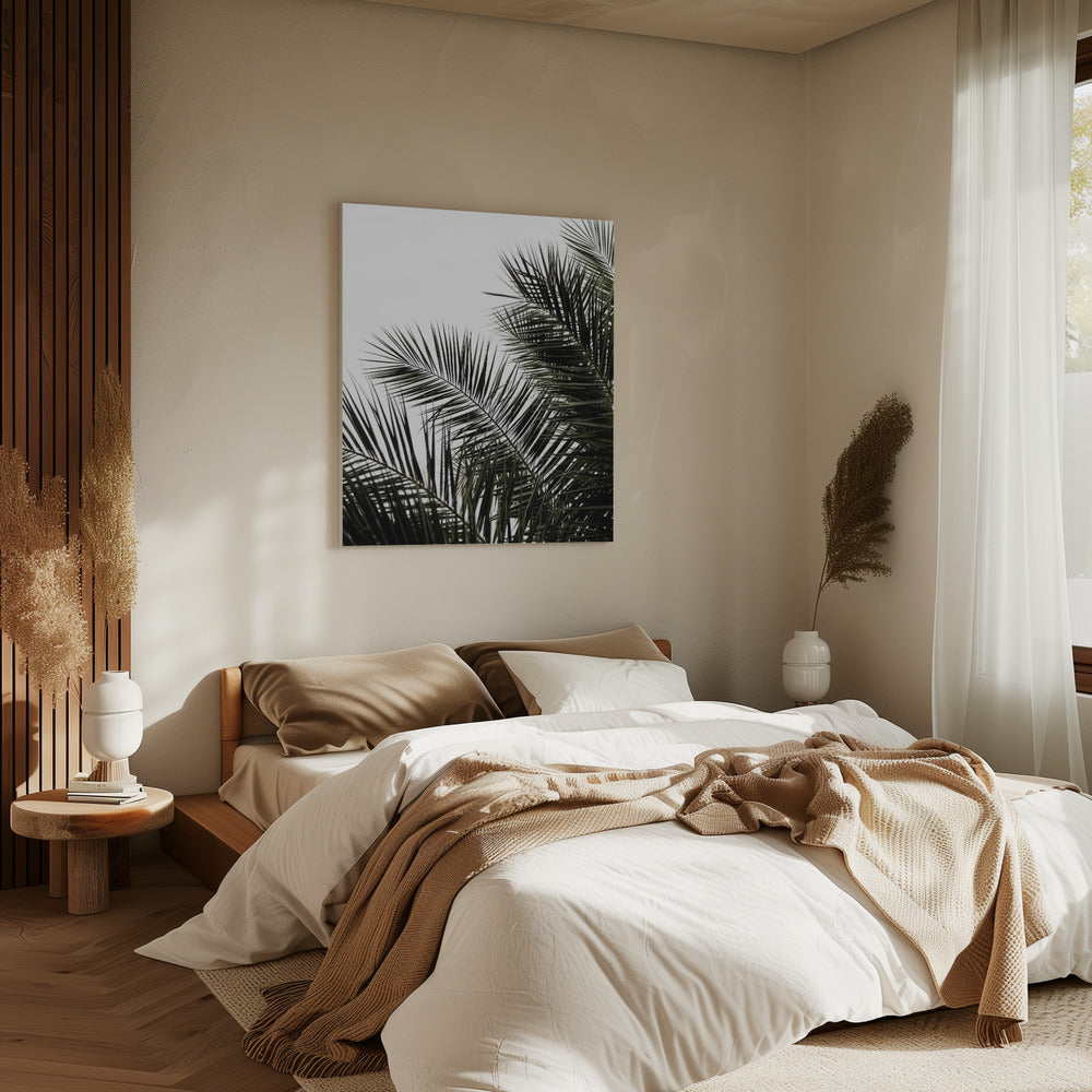 Palm Leaves 3 | Canvas