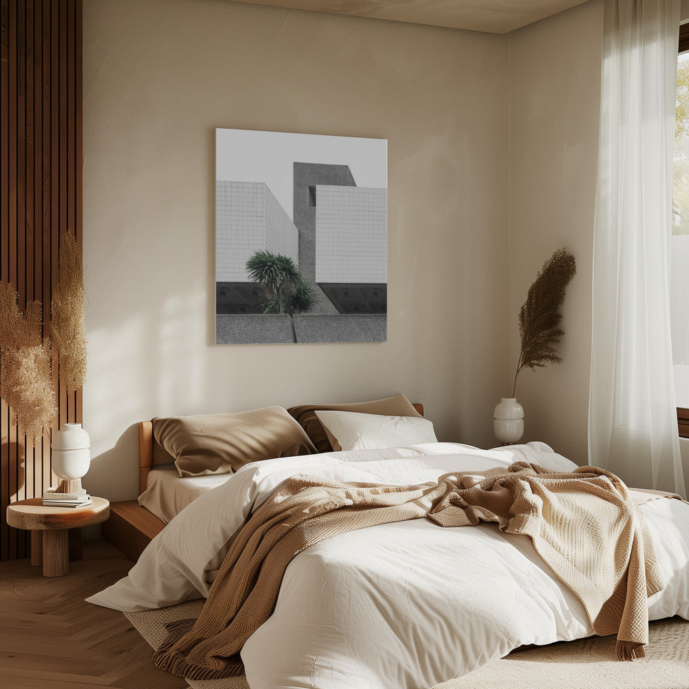Einsame Palmen | Leinwand