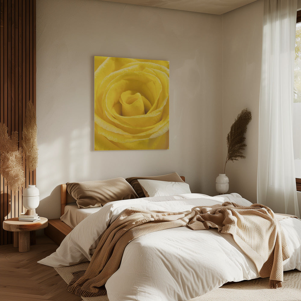 gelbe Rose | Leinwand