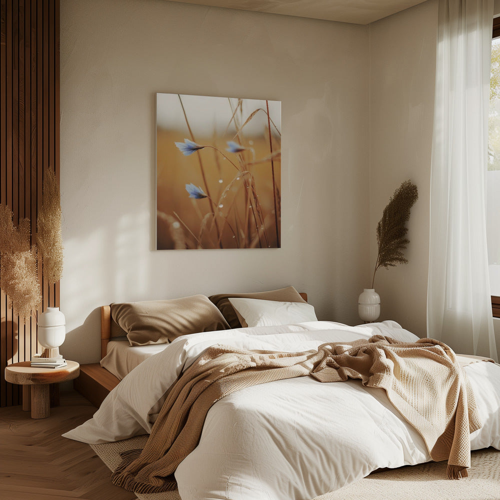 Blaue Blüten im Morgengrauen | Leinwand