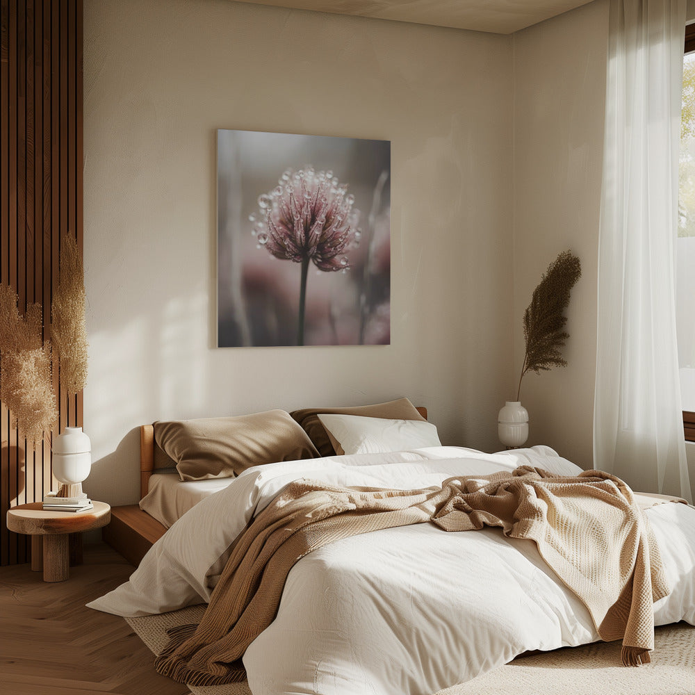 Taugeküsste Blüte | Leinwand
