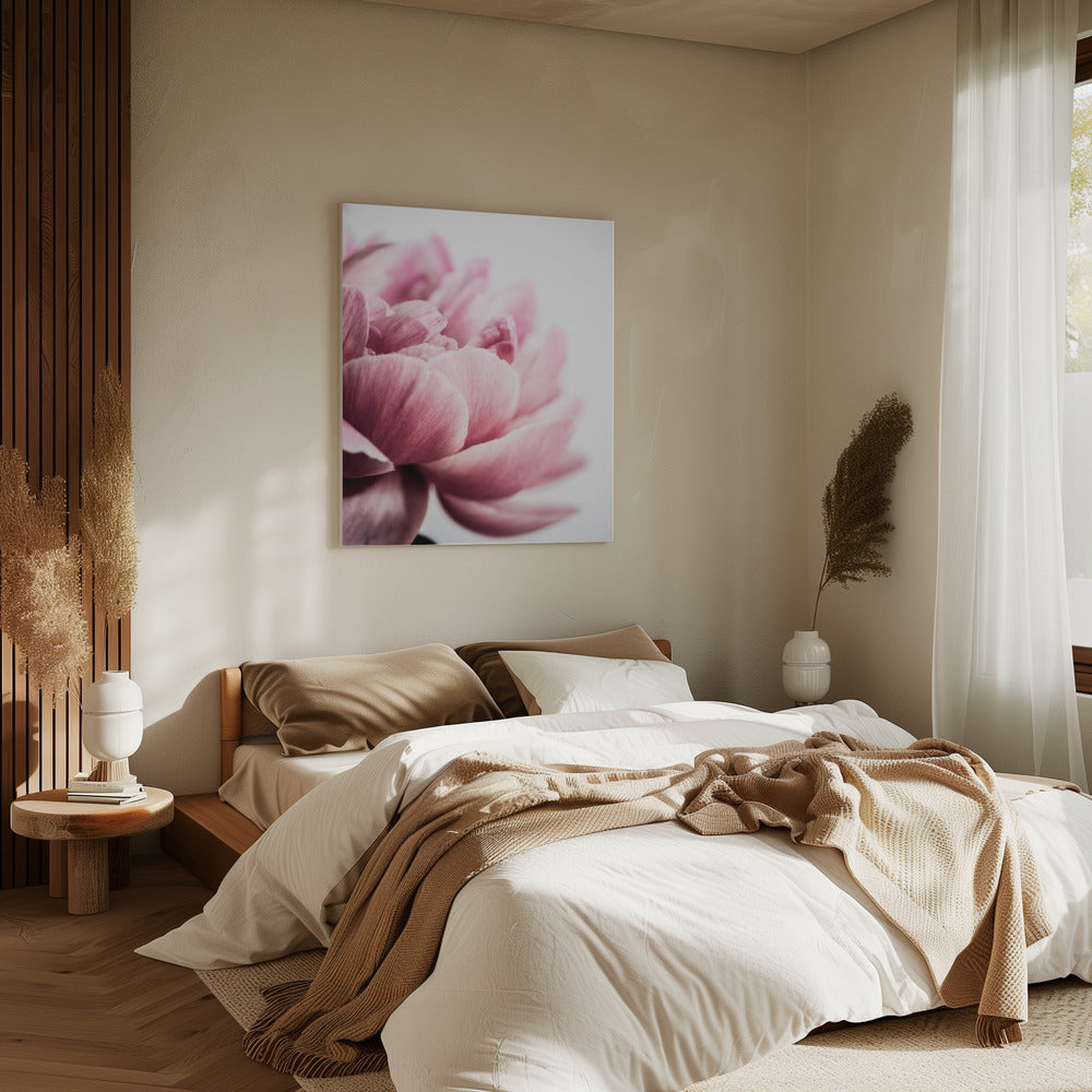 Peony 1 | Canvas