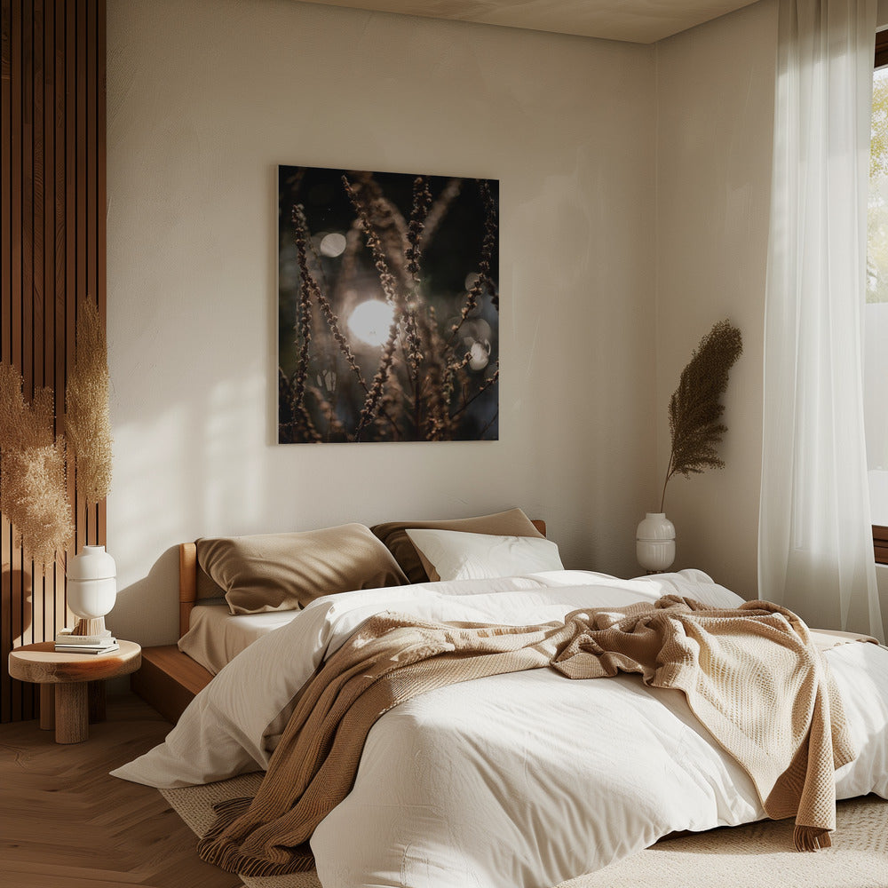 Natural Sparkle 2 | Canvas