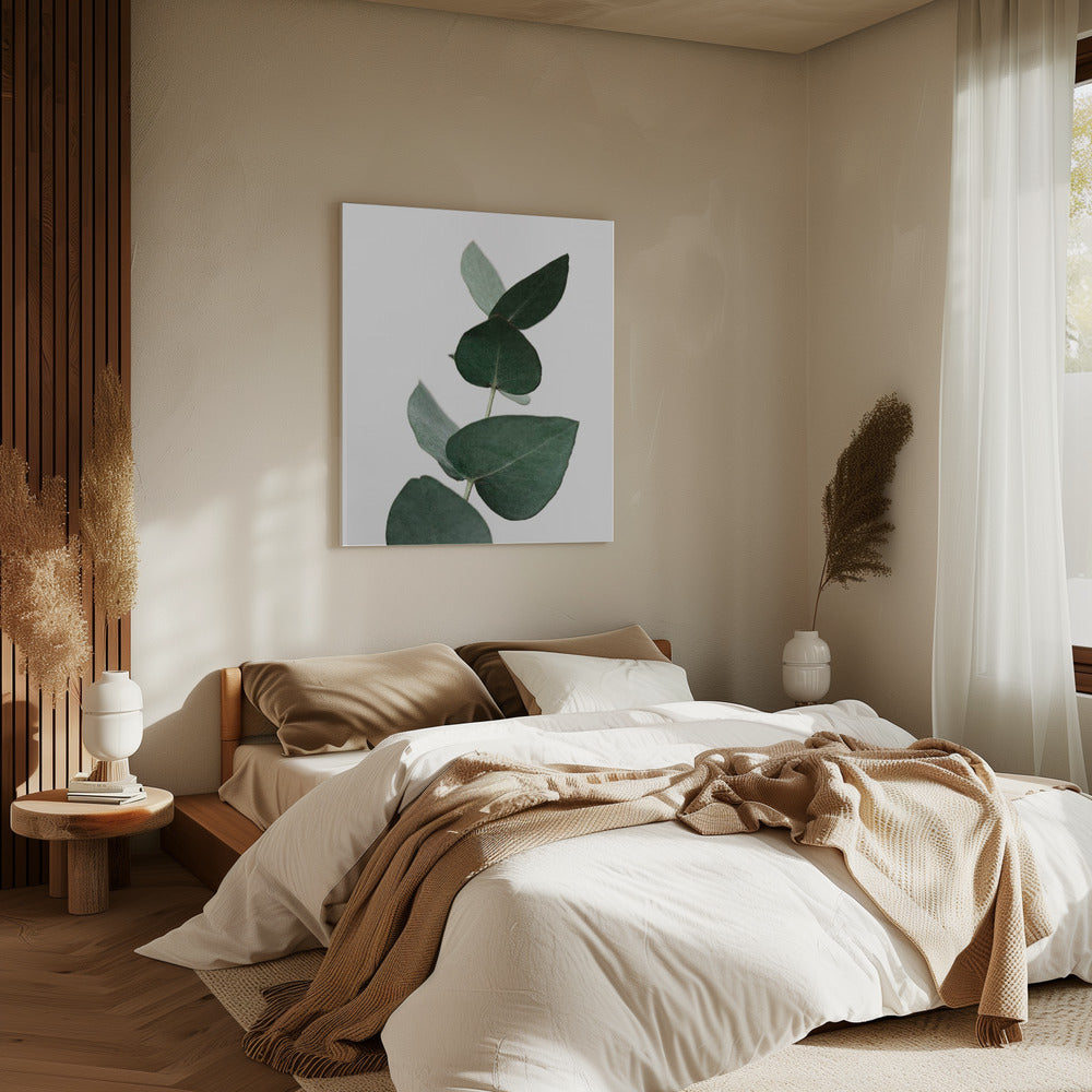 Eucalyptus 4 A1 | Canvas