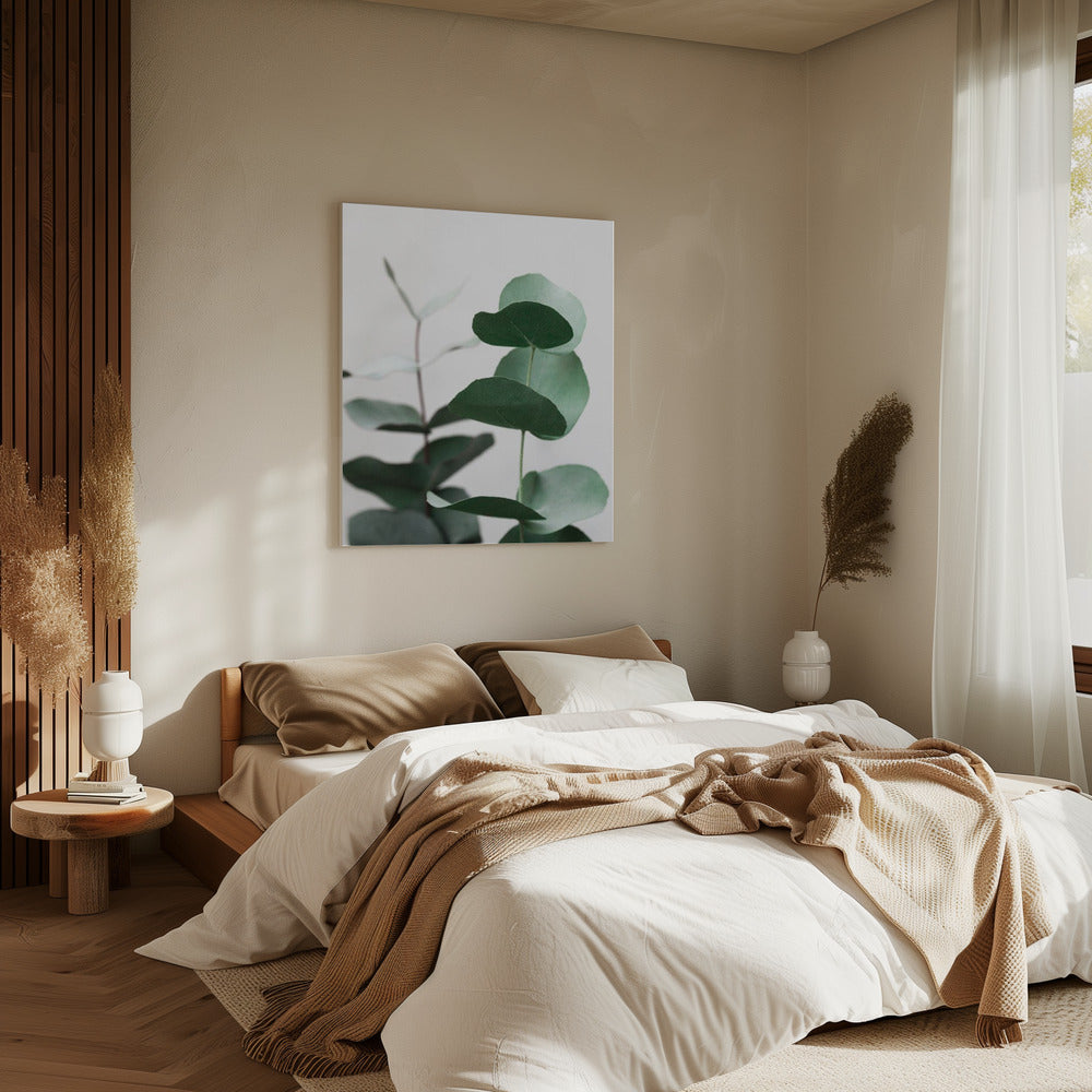 Eucalyptus 5 A1 | Canvas