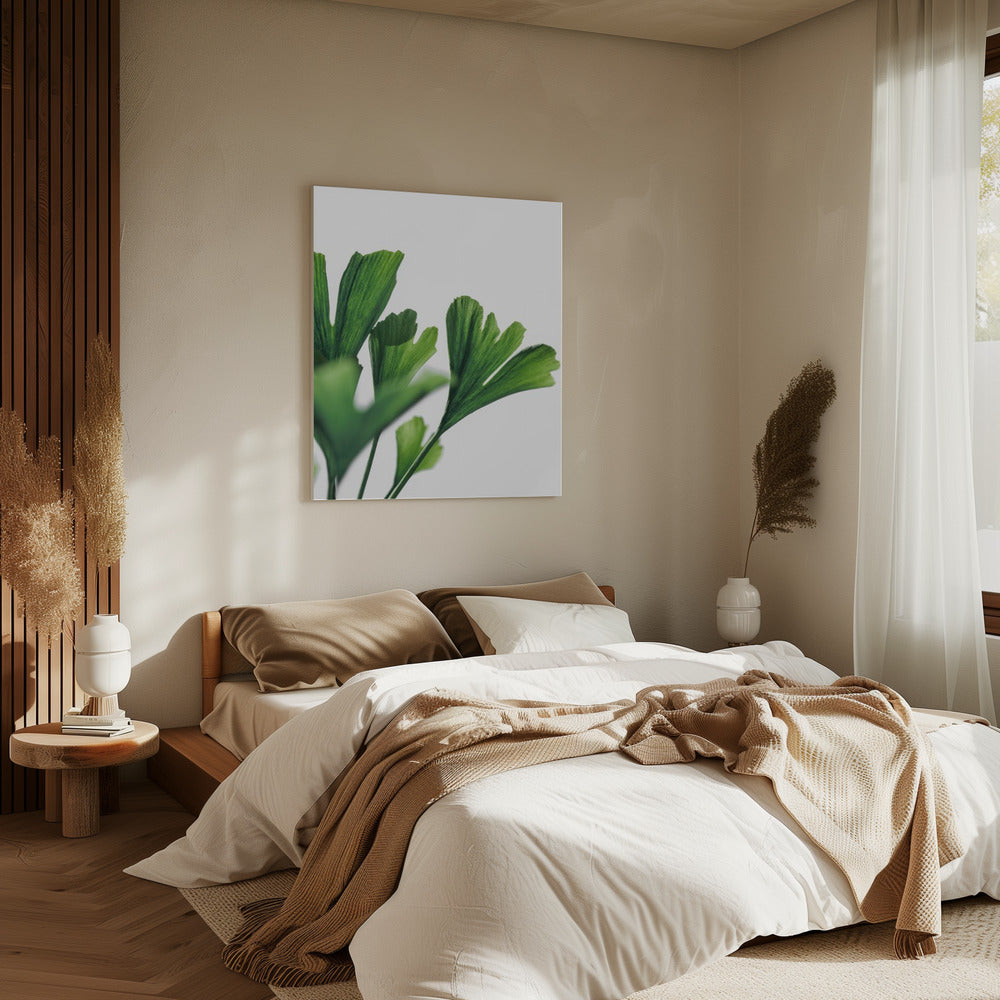 Ginko 4 | Canvas