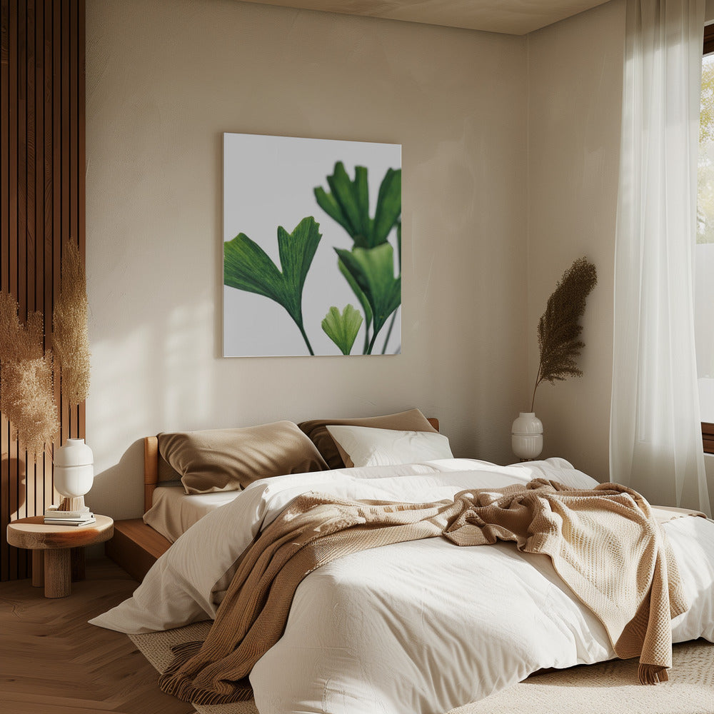 Ginko 5 | Canvas