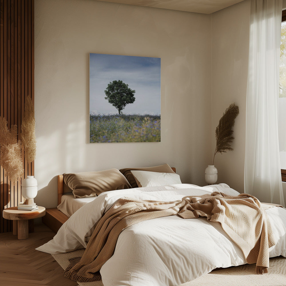 Sommerwiese | Leinwand