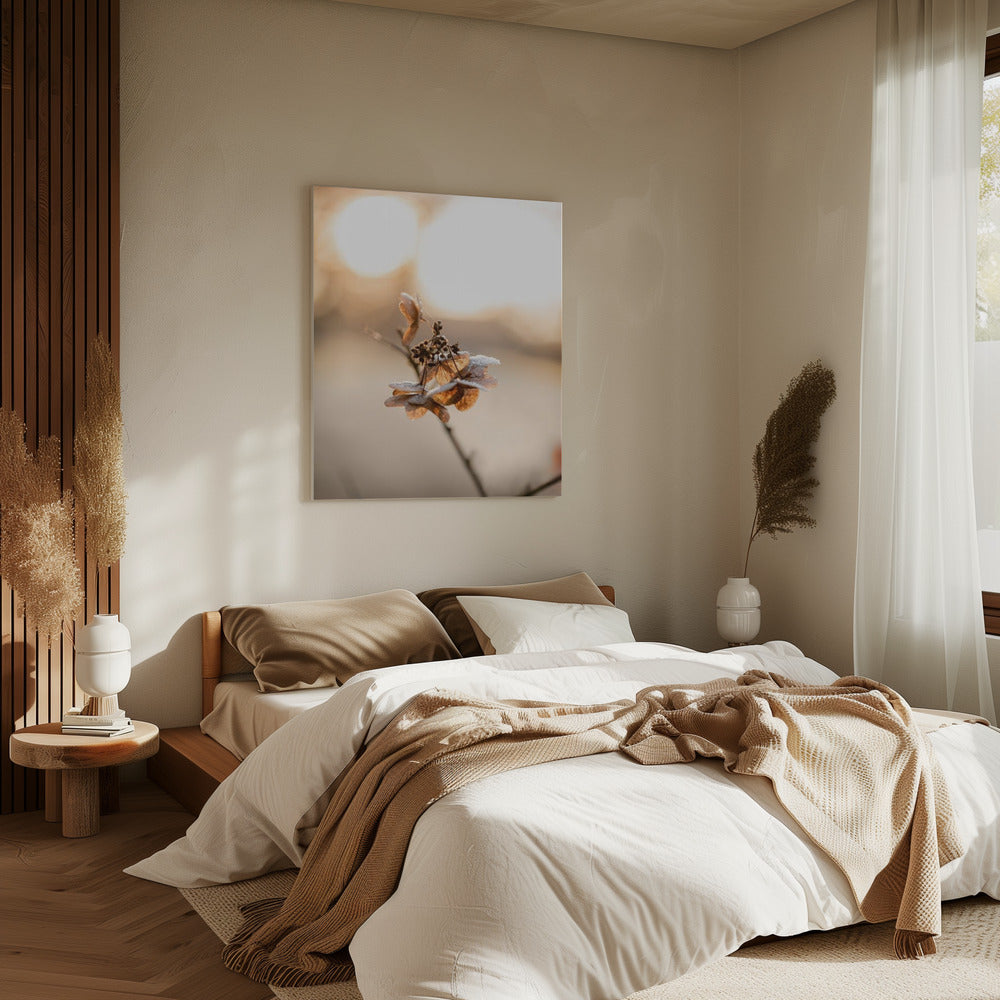 Hortensie 4 | Leinwand