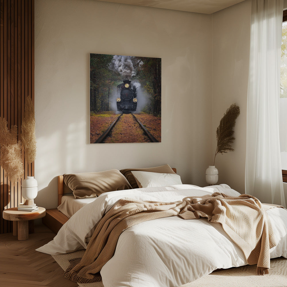 Durch den Herbstwald | Leinwand