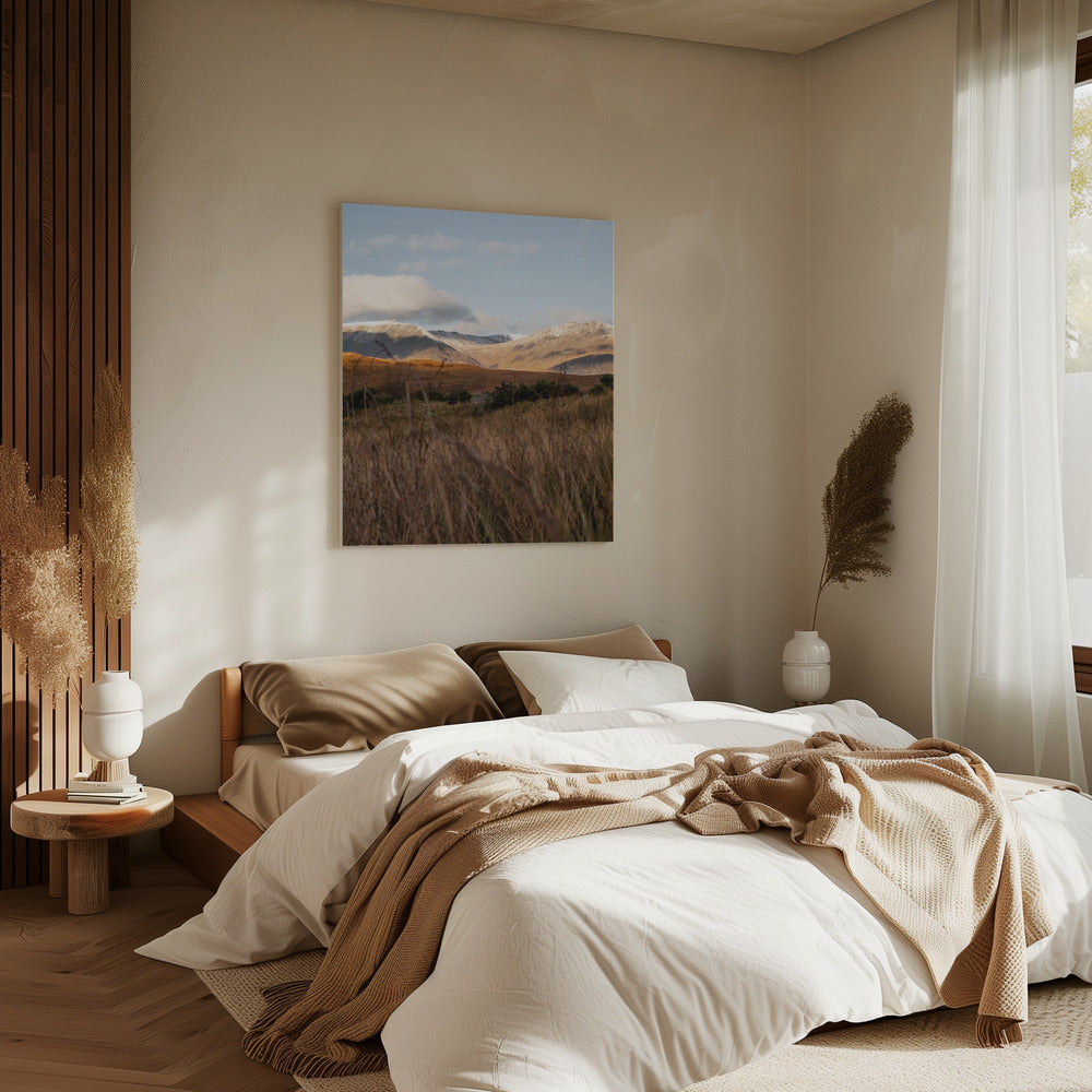 Highlands | Canvas