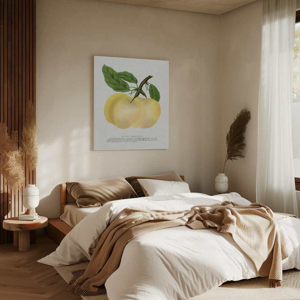 Gelbe transparente Apfel-Lithografie | Leinwand