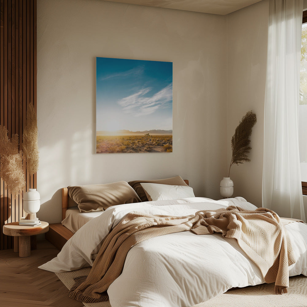 Nevada Desert Sunrise | Canvas