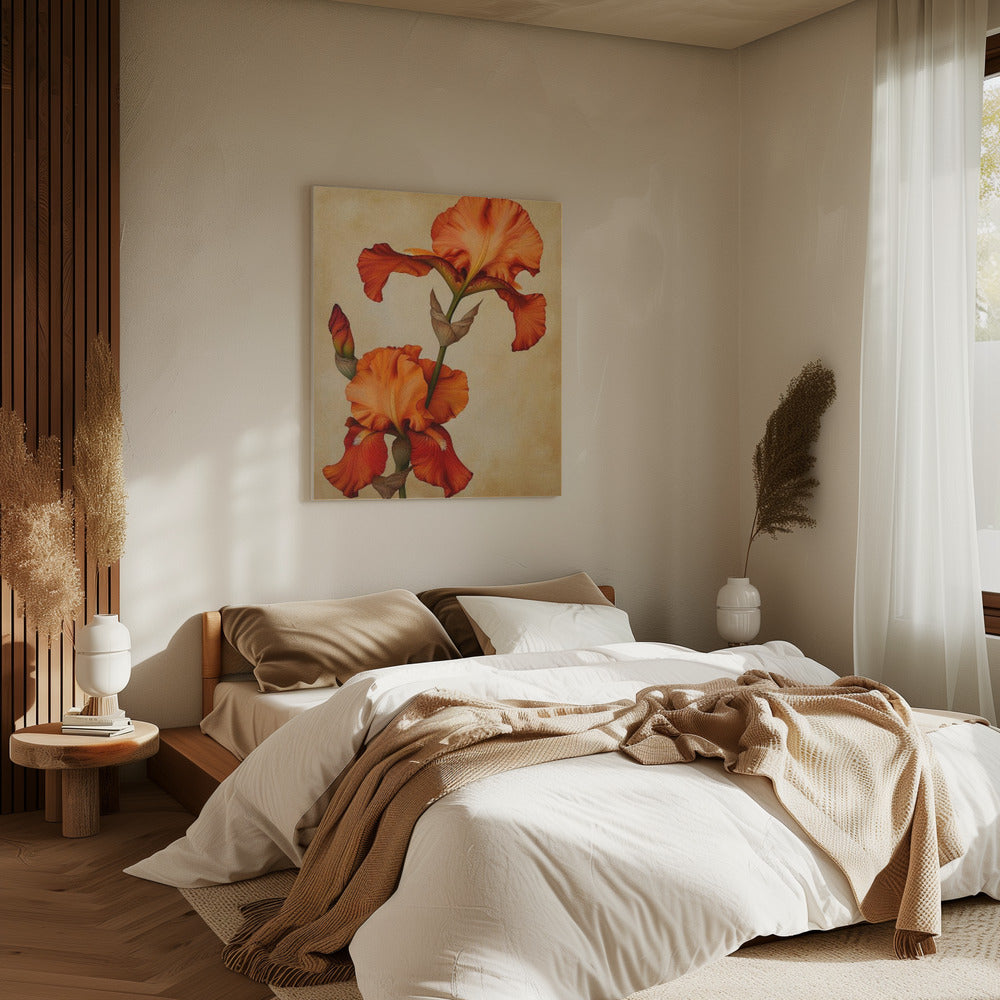Poster Canvas Sng Iris 36 | Canvas