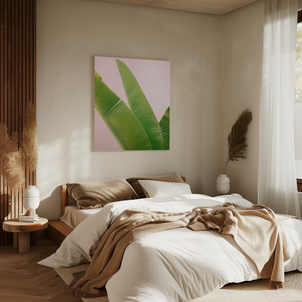 Merida Green on Pink | Canvas
