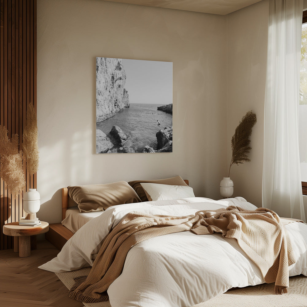 The Dive | Canvas