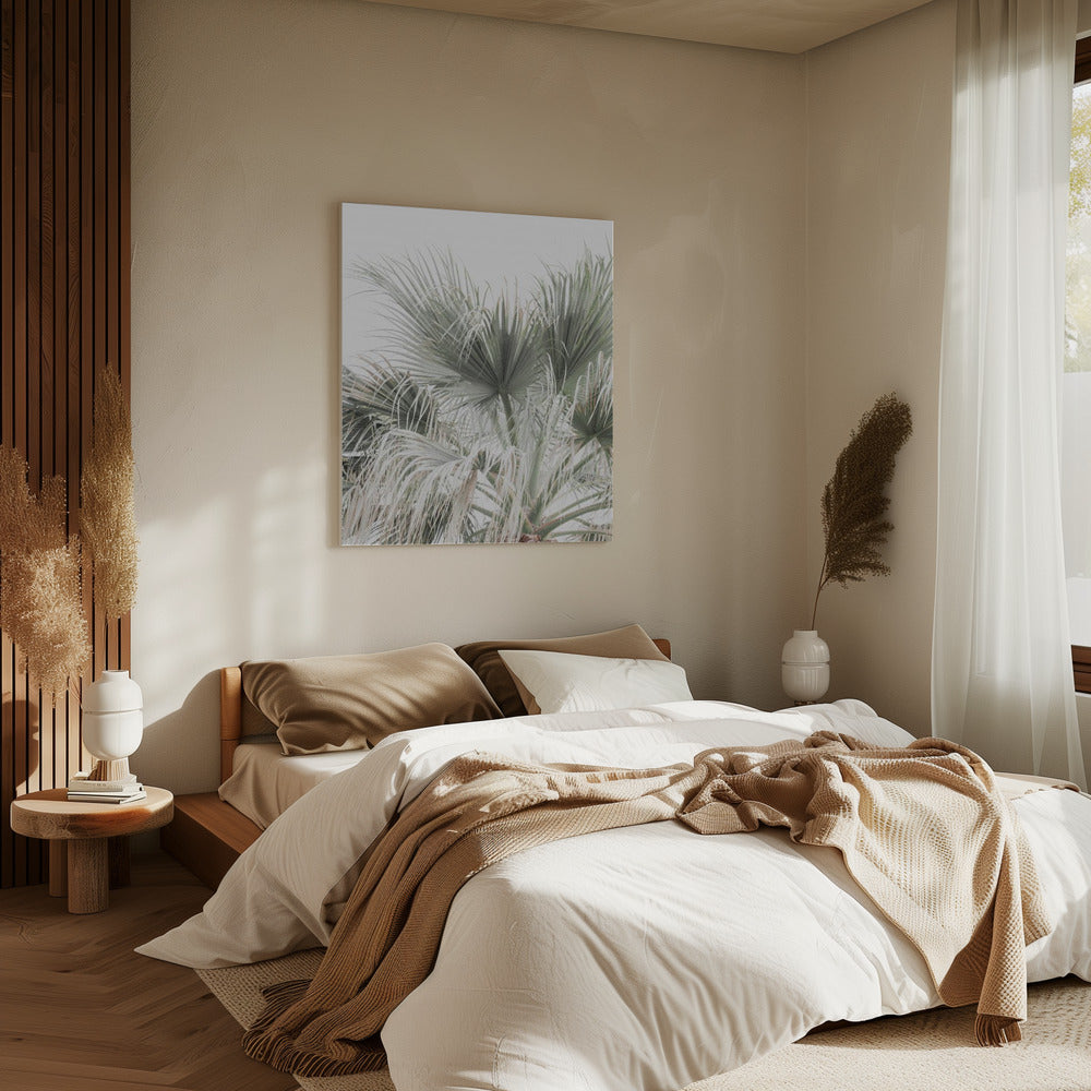 Palm Leaf | Canvas