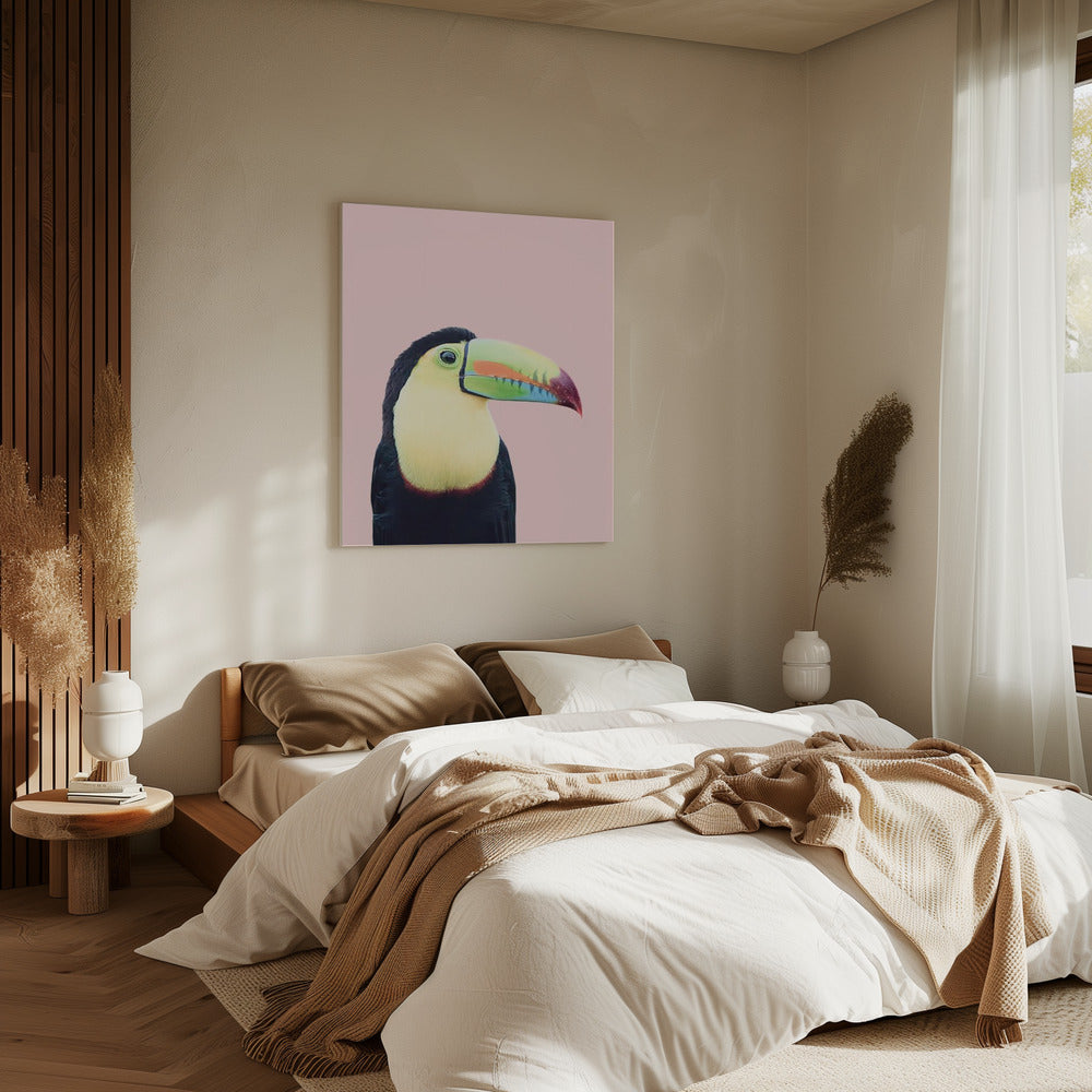 Toucan on Pink | Canvas