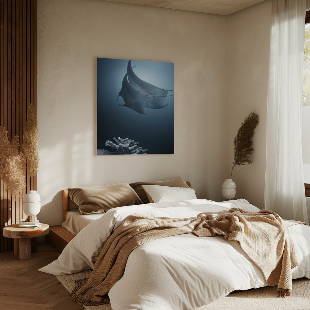 Sonate | Leinwand
