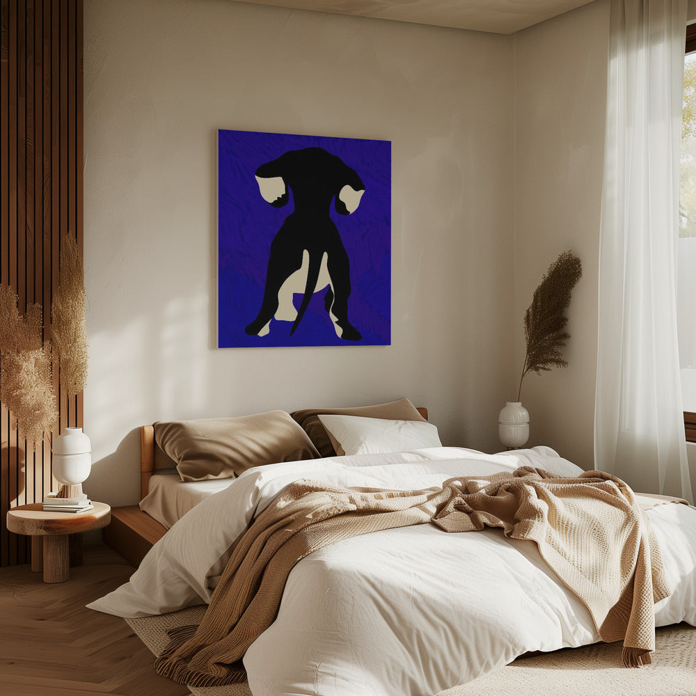Blue Backdrop | Canvas