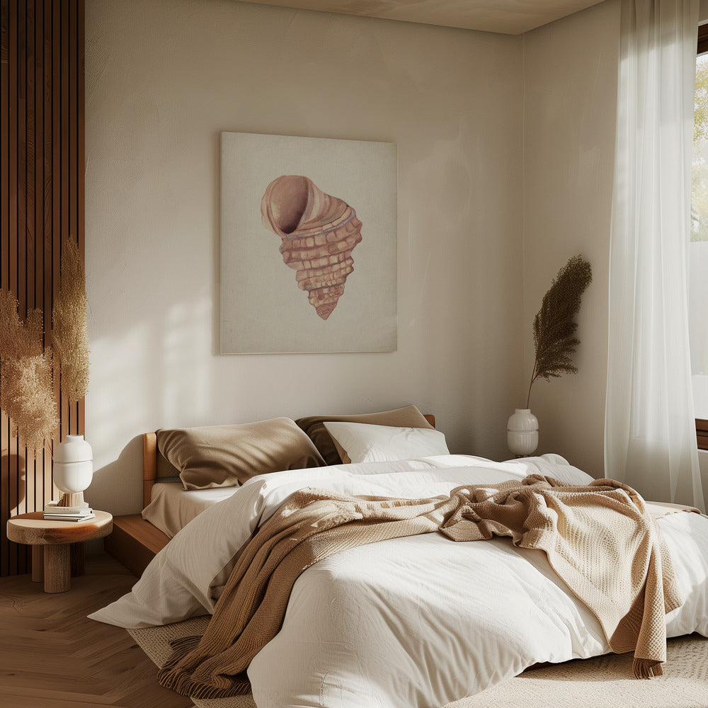 Pink seashells | Canvas