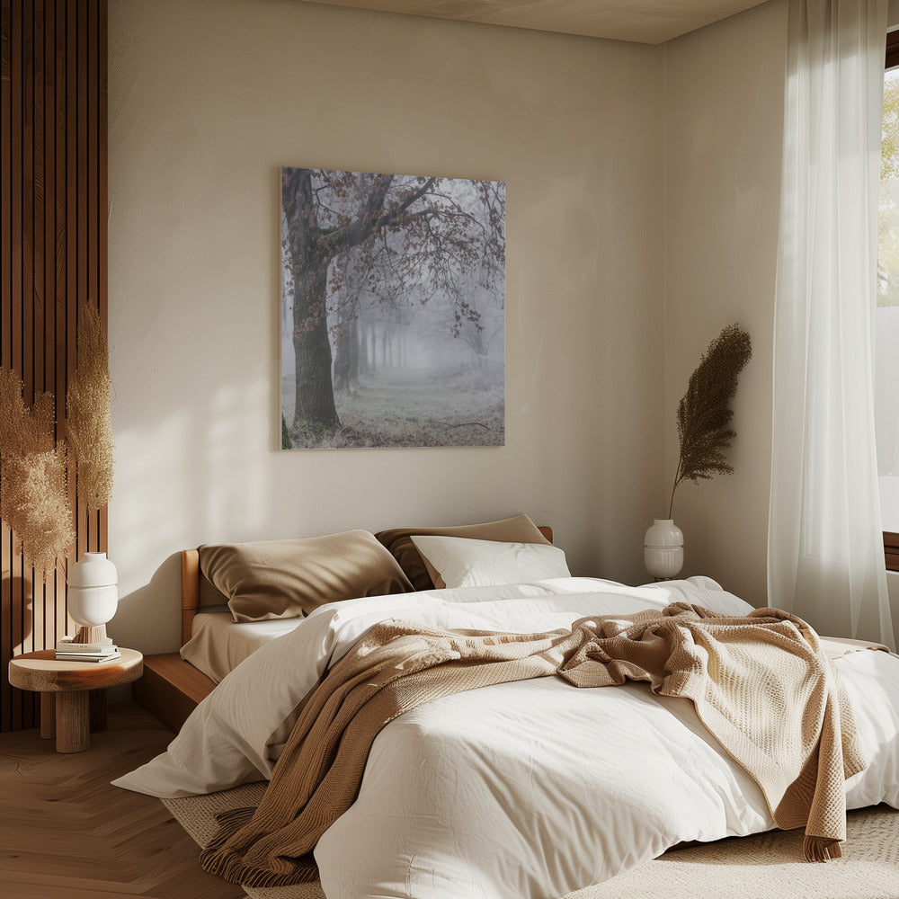 Foggy Winter Morning 3 | Canvas