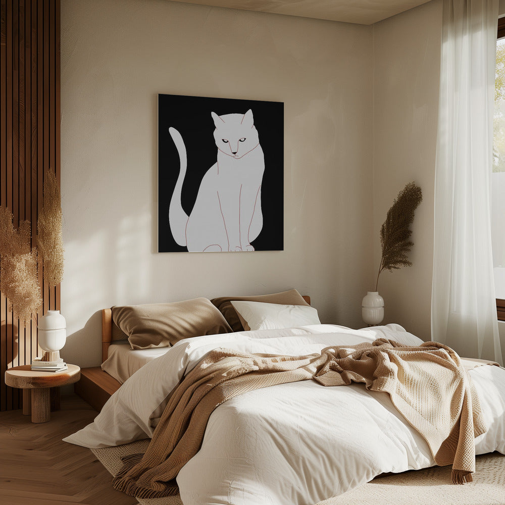 Weiße und schwarze Katze | Leinwand