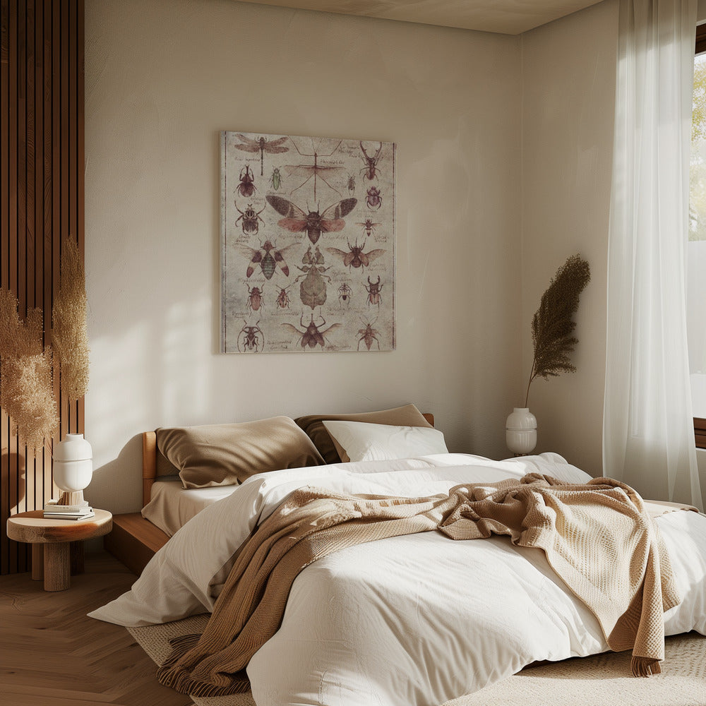 Insekten im Vintage-Stil | Leinwand
