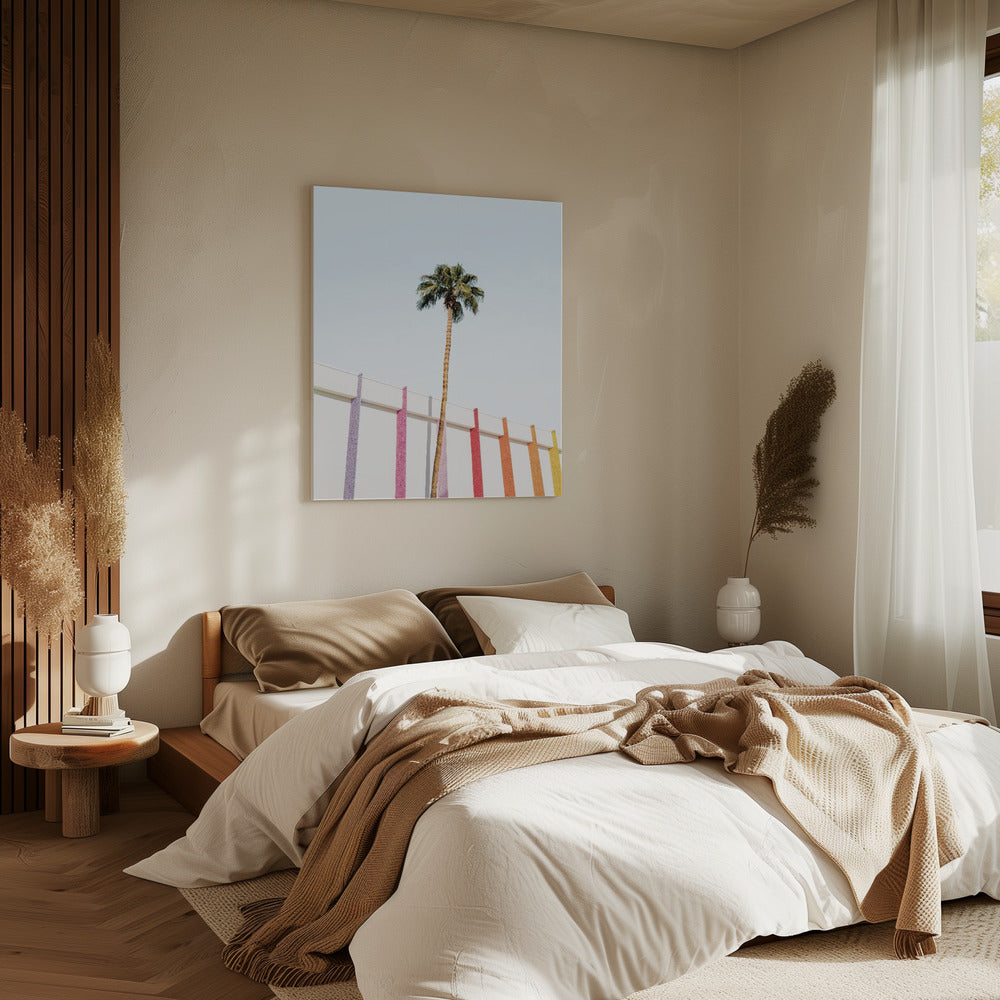 Palm Spring Colors 2 | Canvas