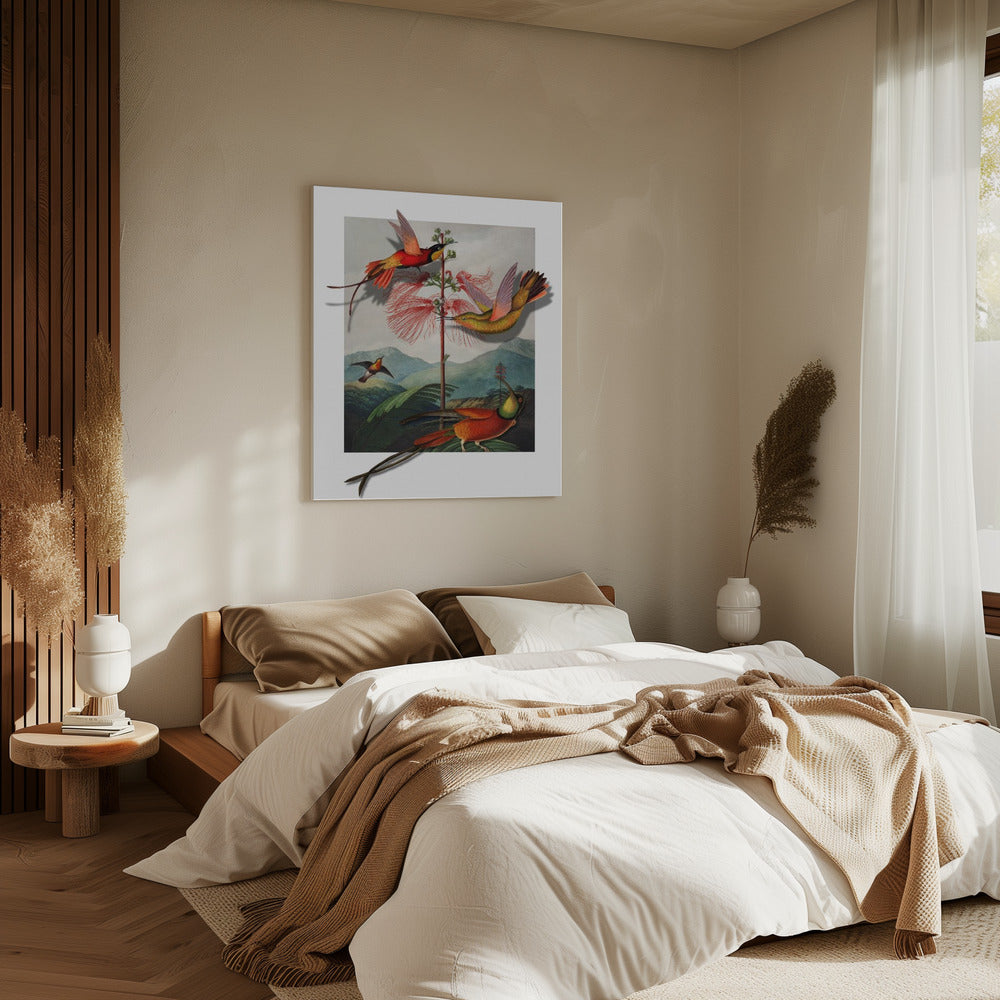 Mimosa Grandiflora | Leinwand