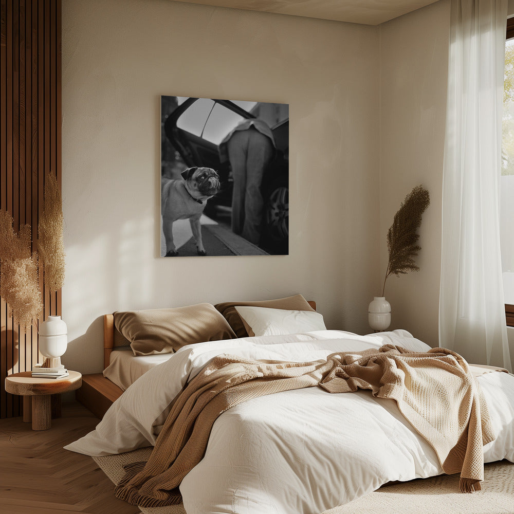 Ohne Titel | Leinwand