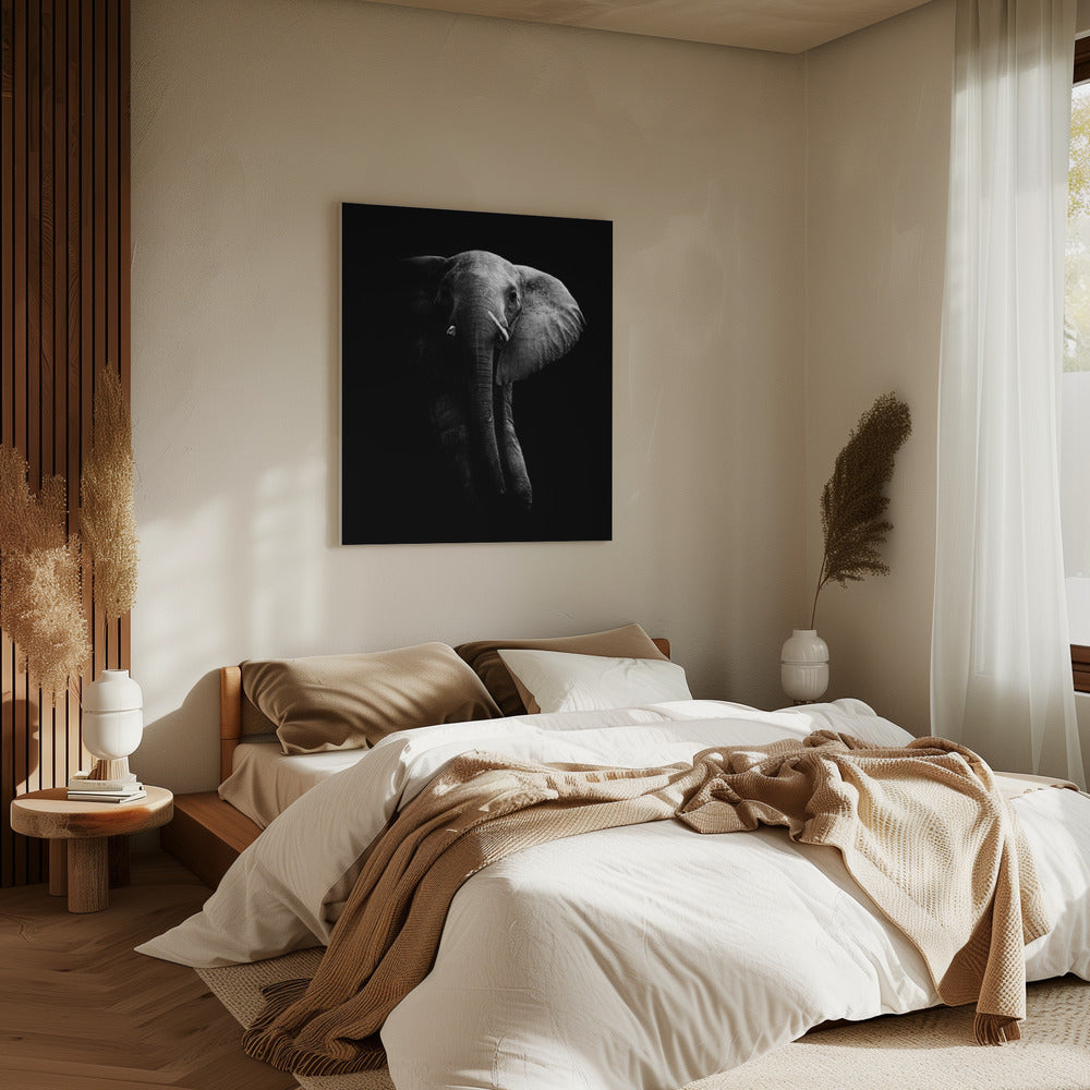 Elefant! | Leinwand