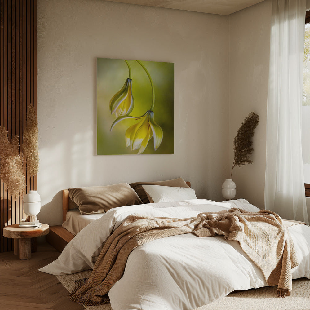 Tulipa | Leinwand